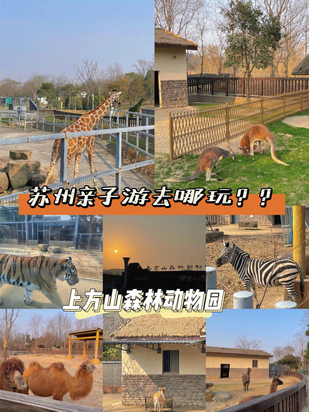 苏州蒸汽动物园图片