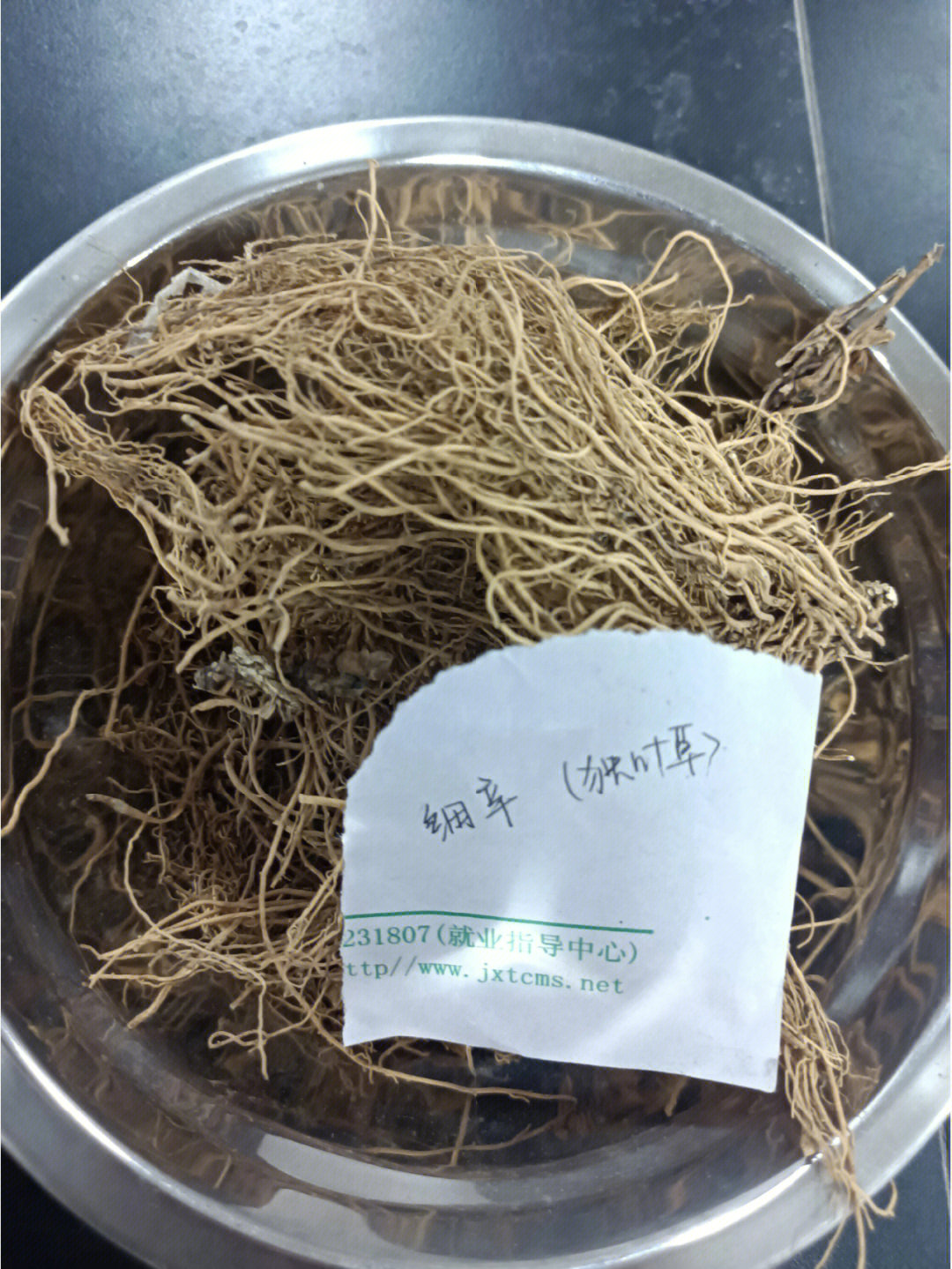 中药鉴定②性状鉴别双子叶植物根及根茎2