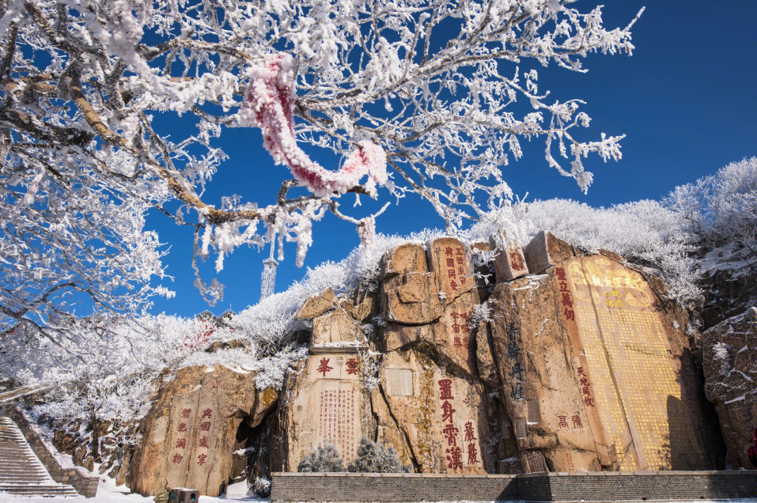 泰山特点图片