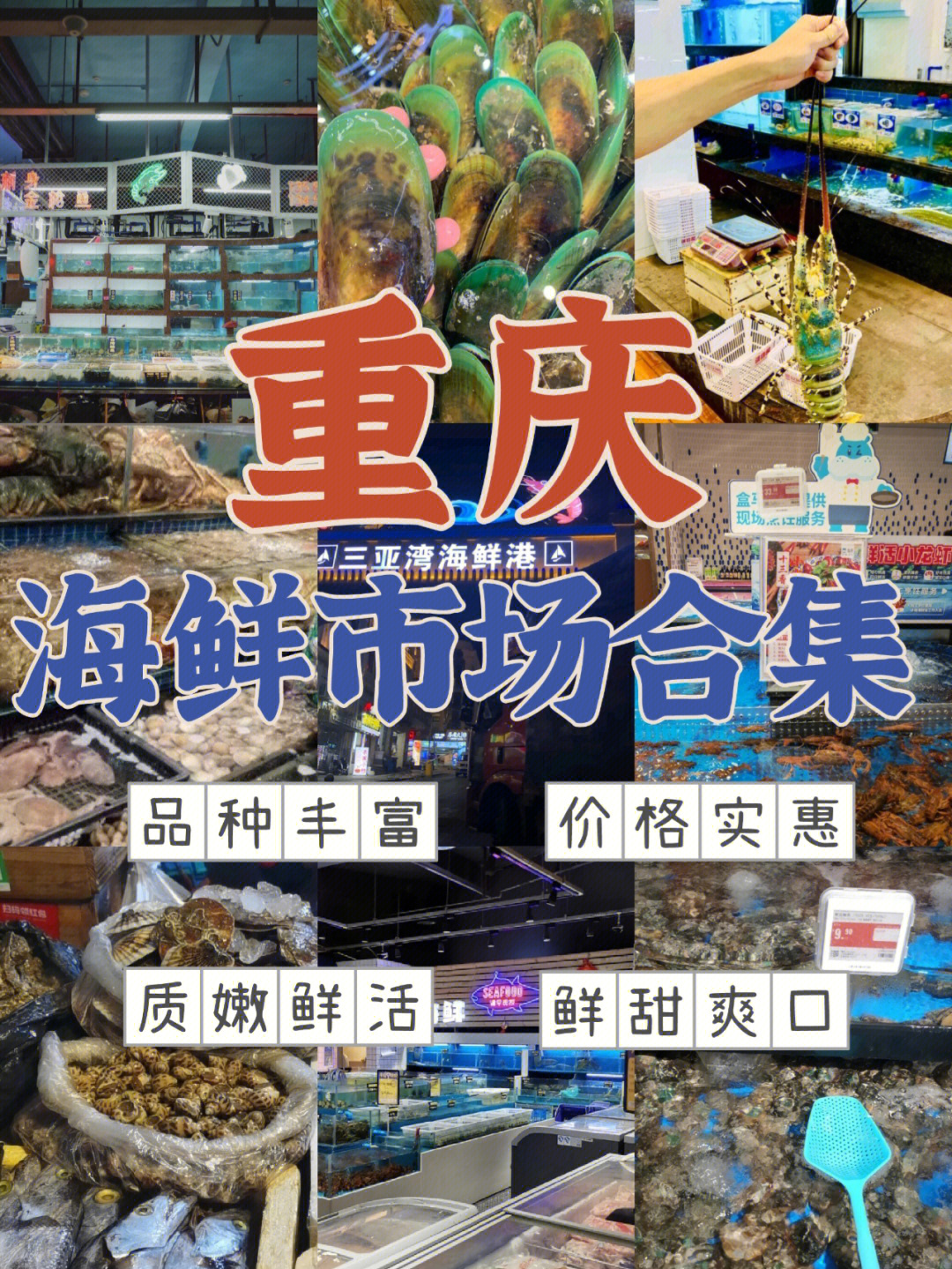 重庆海鲜市场合集本地人推荐攻略78