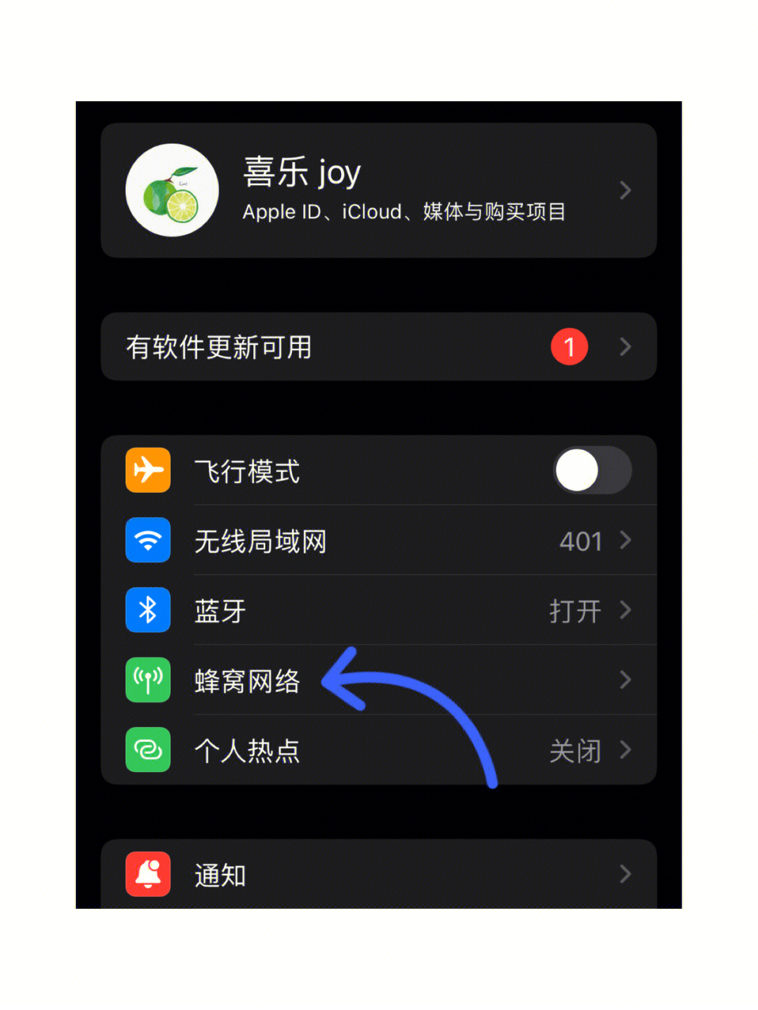 iPhone改5g信号图标图片