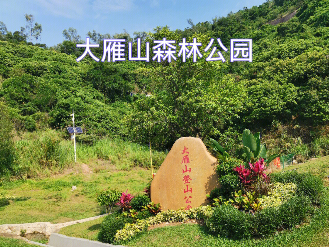 大雁山森林公园门票图片