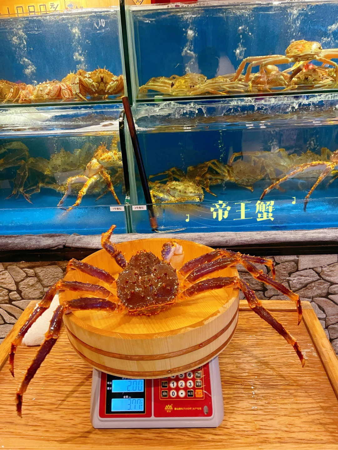 深圳一蟹九吃02食蟹道