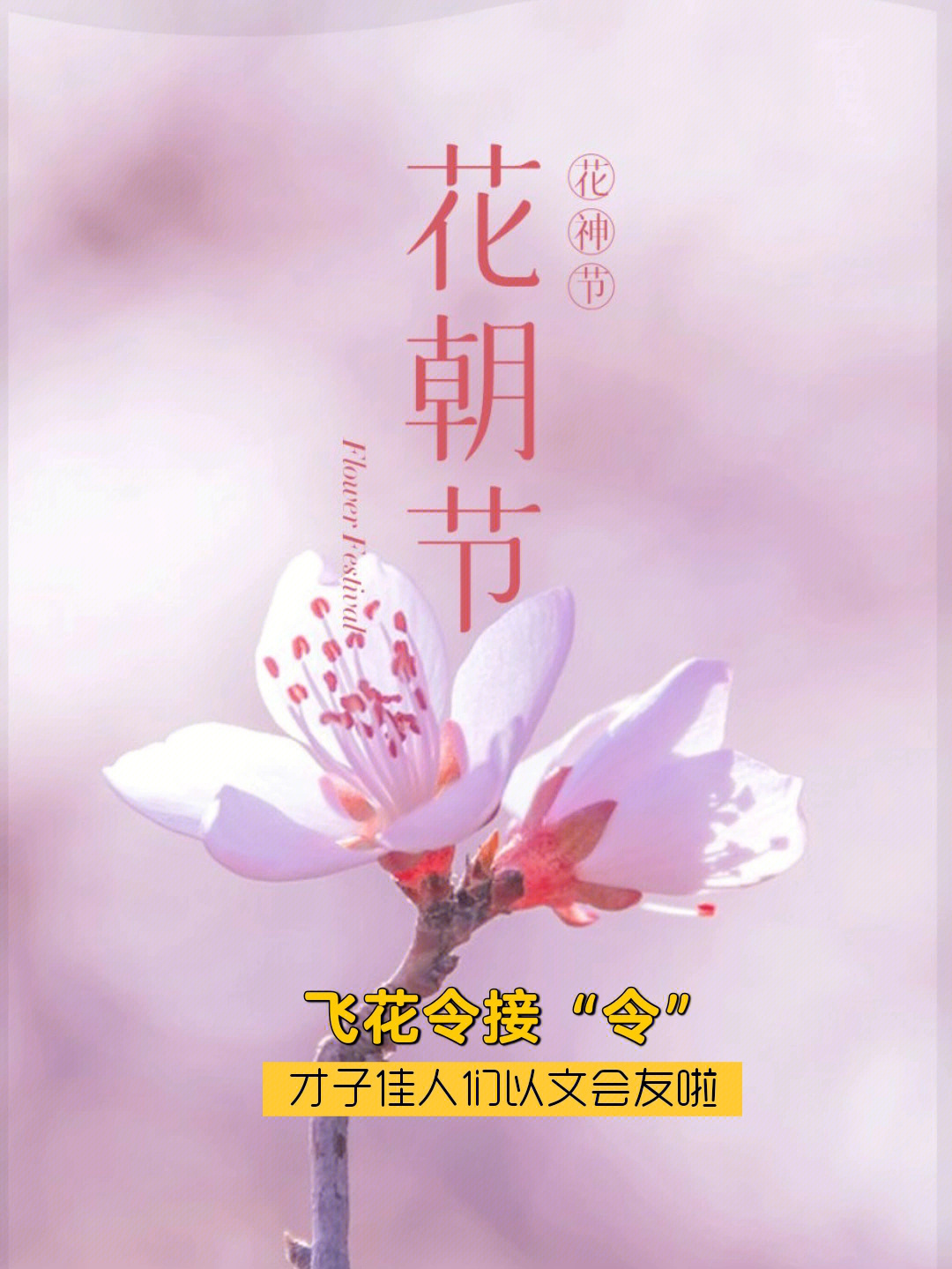 明明像飞花图片