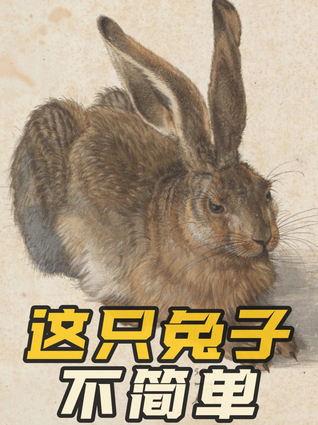 十只兔子歌词原版图片