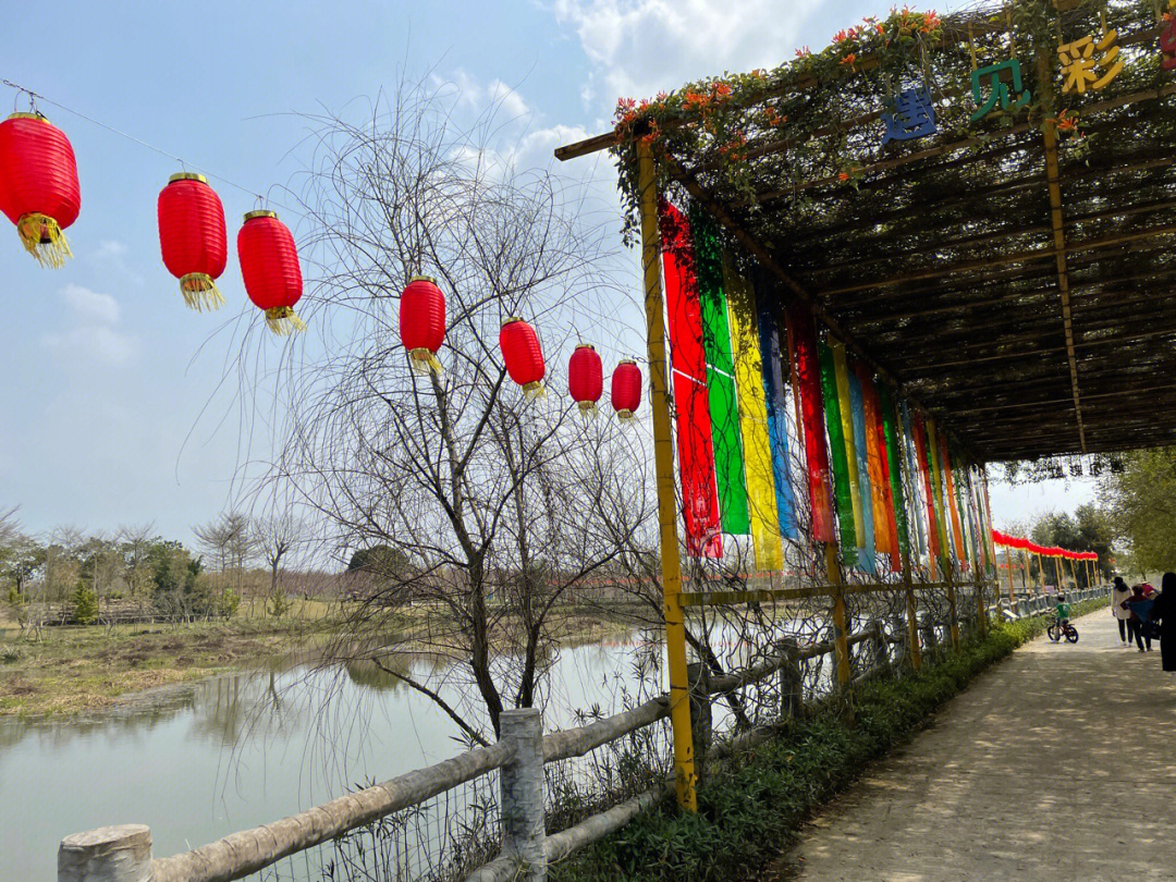 樱花悠乐园图片