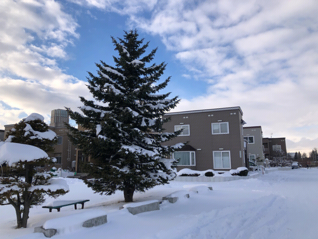 2021-12-19北海道,雪后初晴