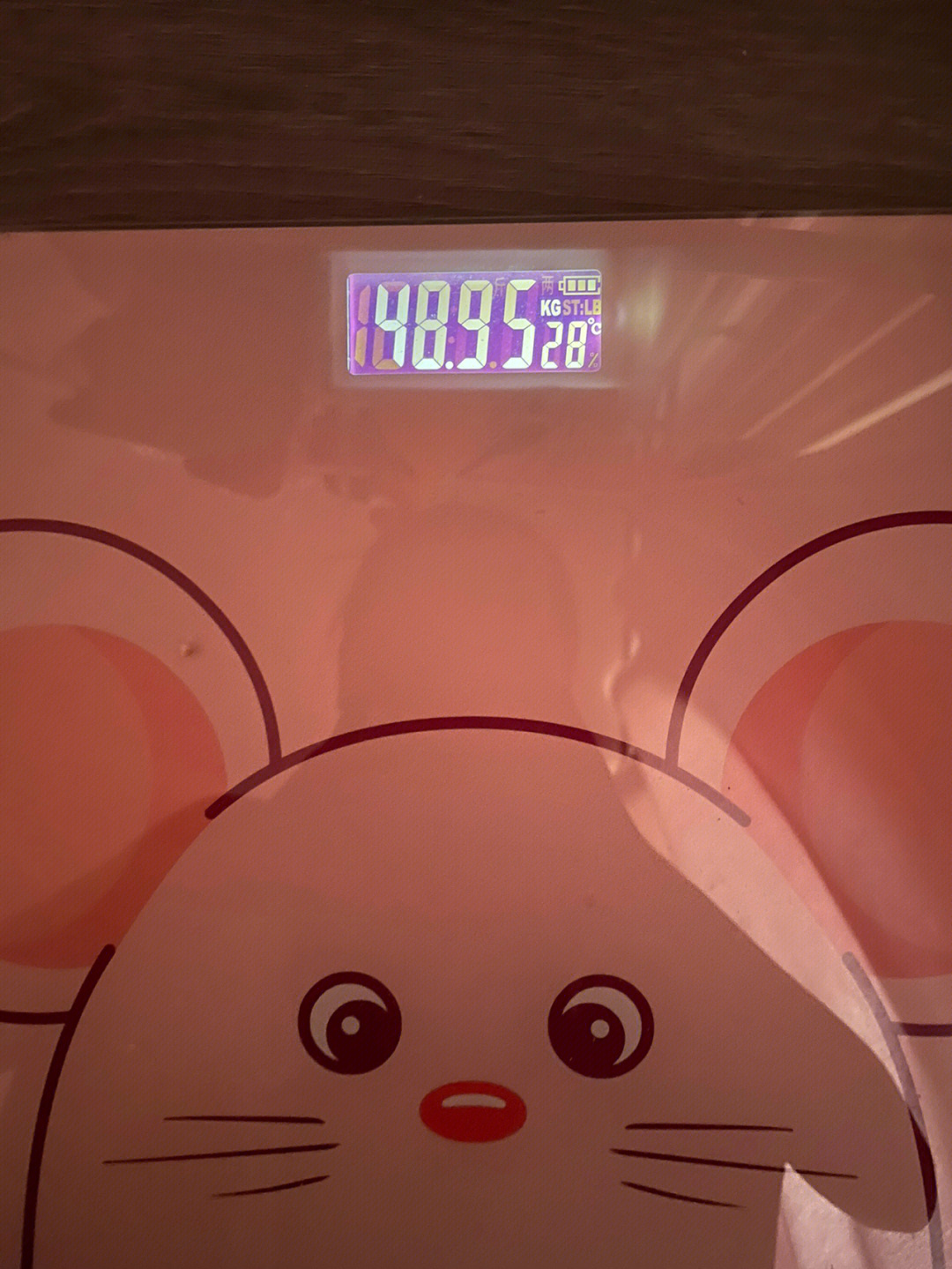 早上体重489kg晚上49