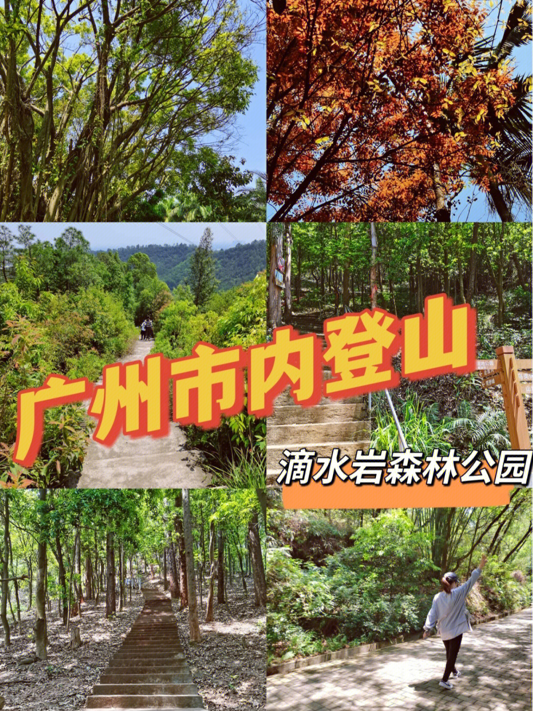 清明小长假的第二天,今天是休闲登山路线番禺滴水岩森林公园,这个公园