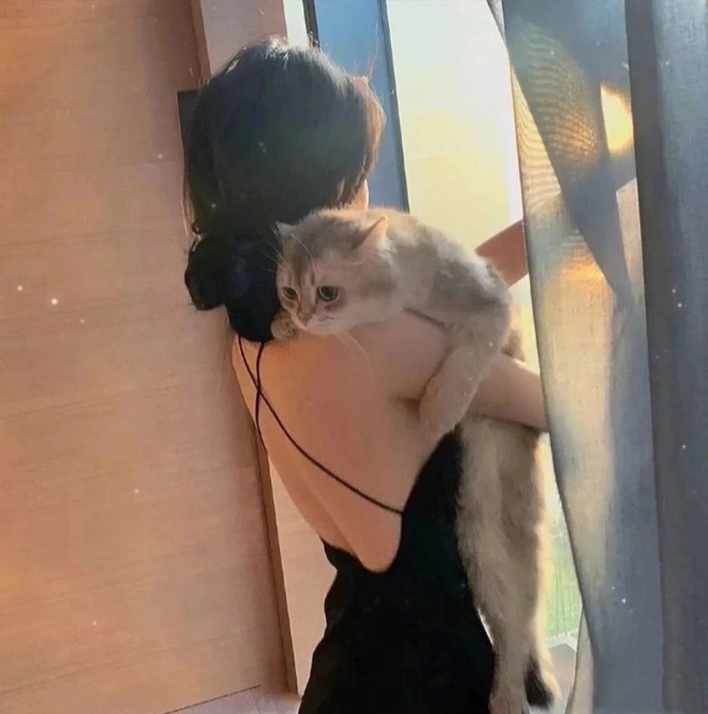 抱着布偶猫的情侣头像图片
