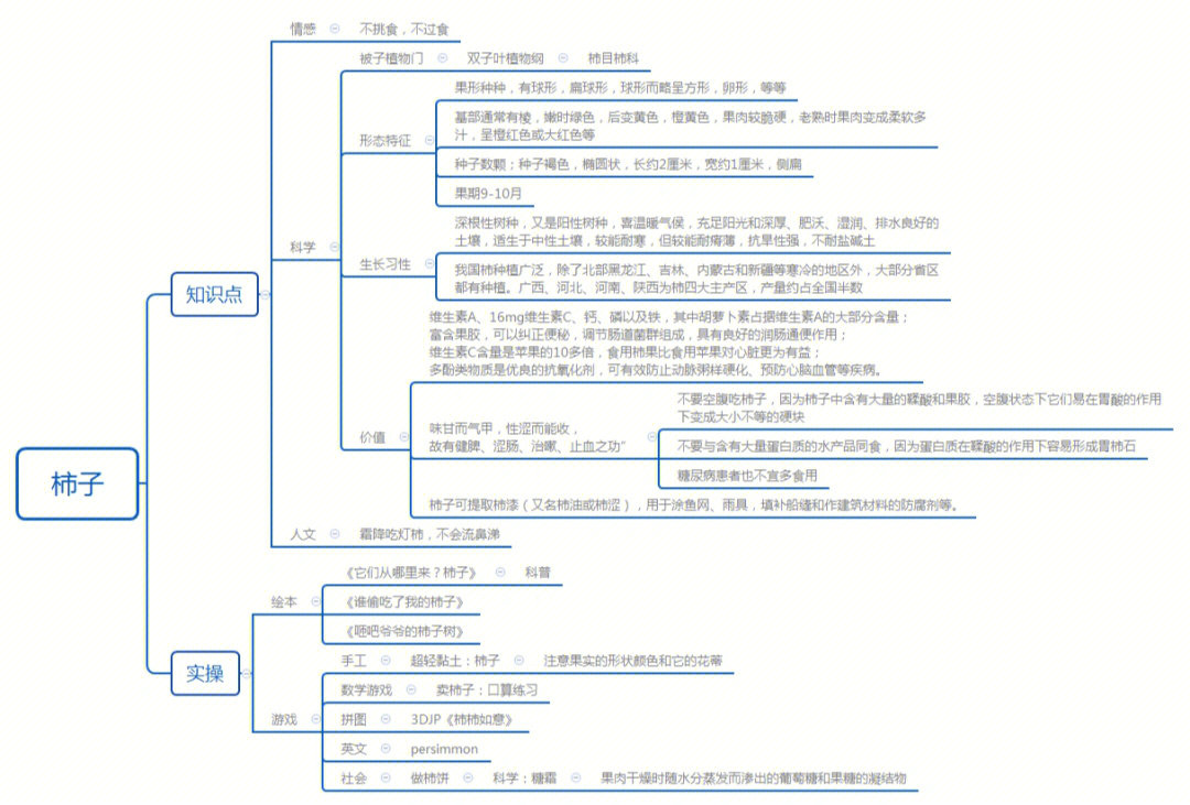 柿子主题网络图图片