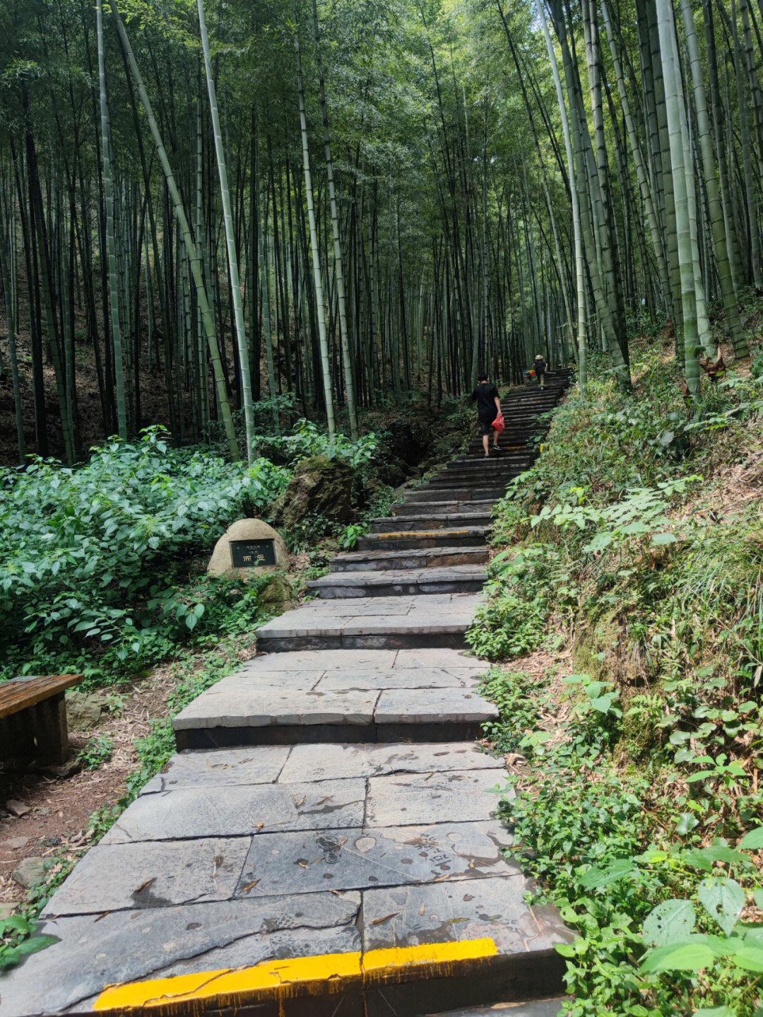 南山竹海秋季图片