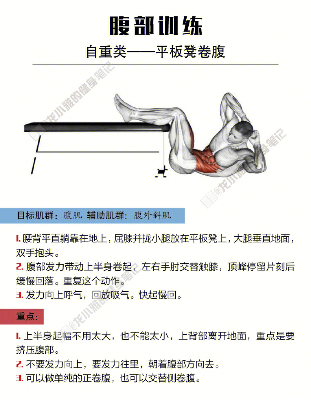 健身训练动作库  #练出腹肌马甲线  #健身教学  #马甲线  #腹肌  见 