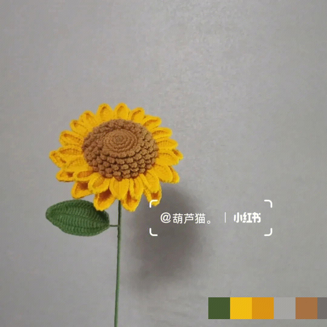 毛线向日葵的织法图解图片