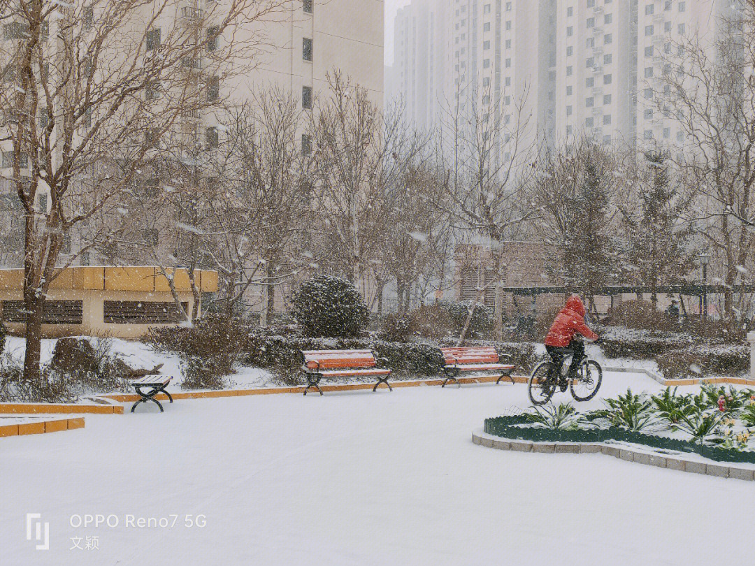 记录生活啦今天下了好大的雪呢