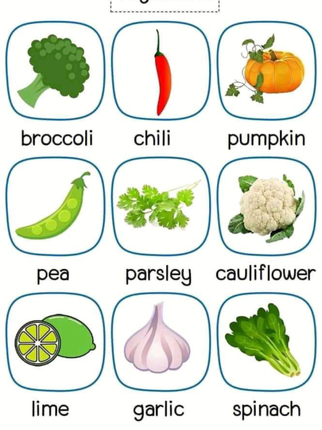 100种蔬菜英语单词图片