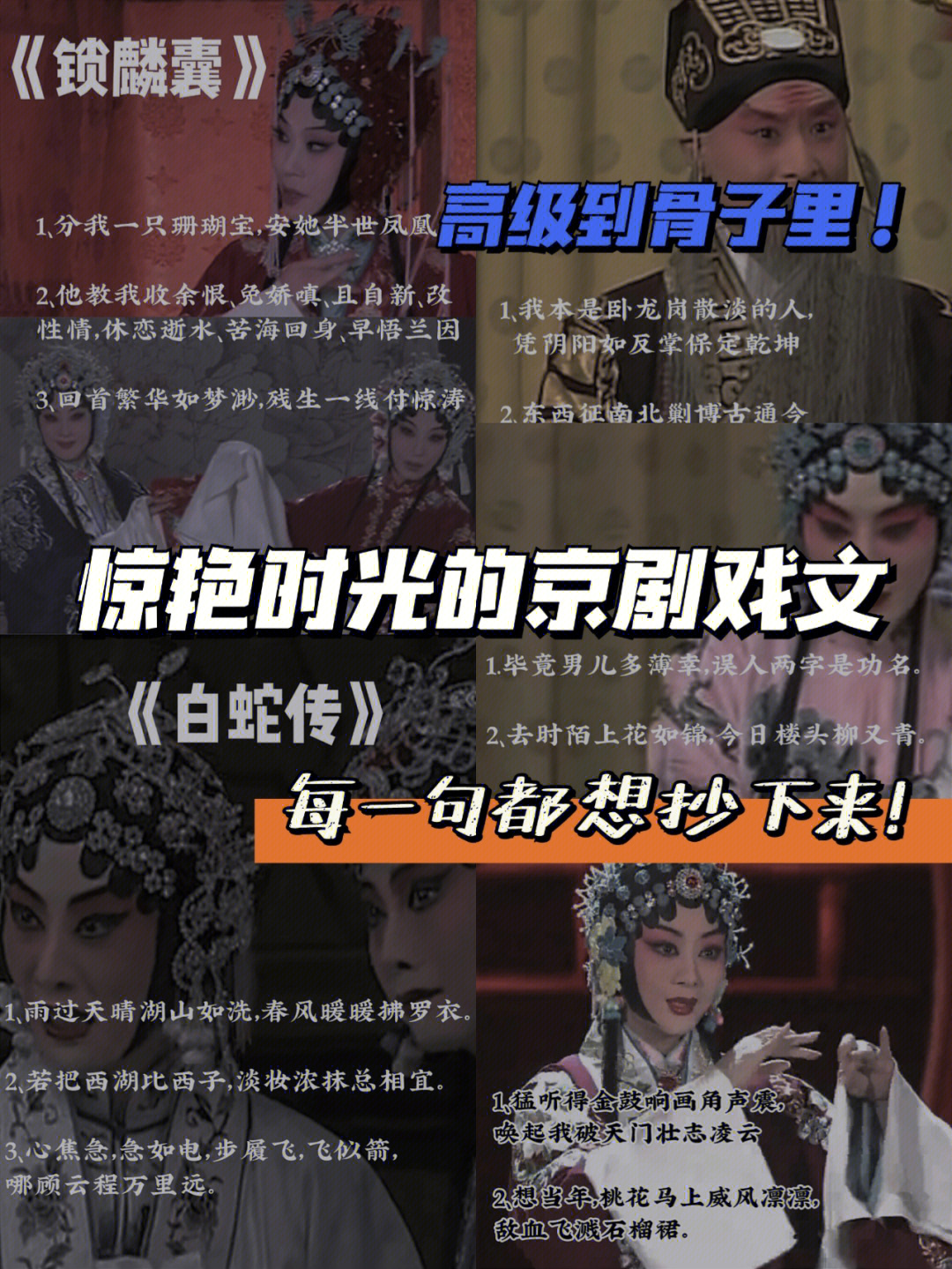 高晞月语录图片