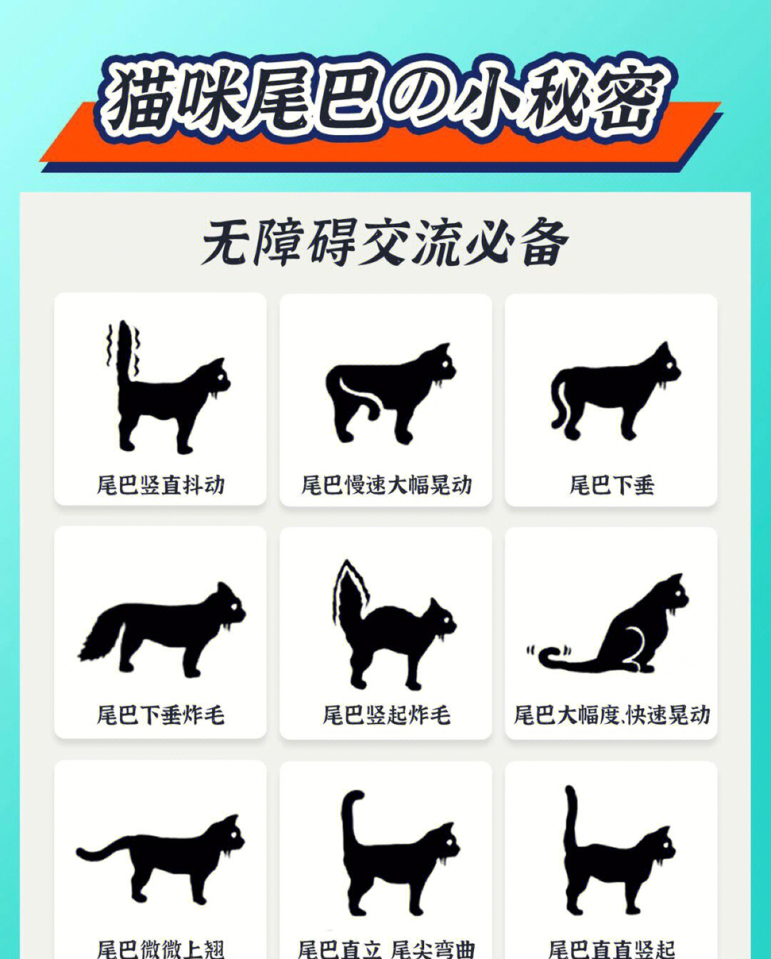 小猫尾巴的作用图片