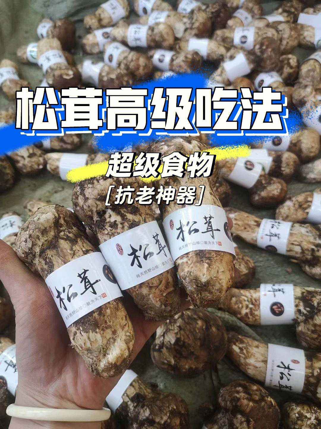 黑松茸怎么吃图片