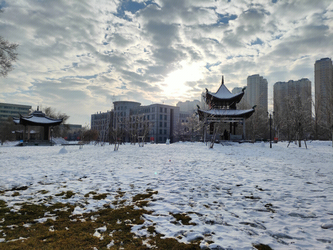 东北农业大学雪景图片