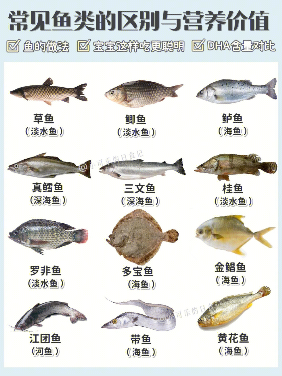 常见鱼的区别营养价值和做法60鱼类说明书