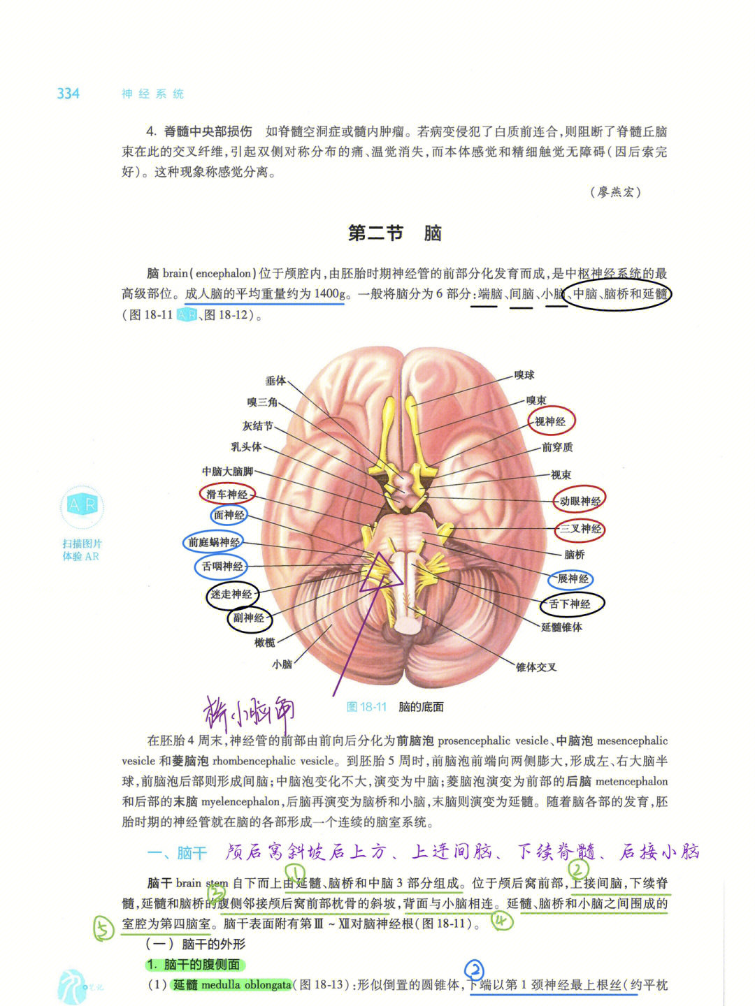 霍琨老师百科图片