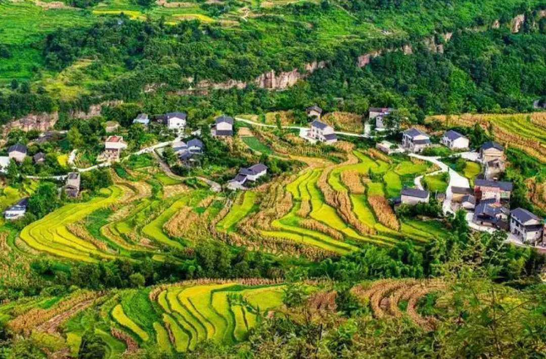 苏州绿野村基地图片