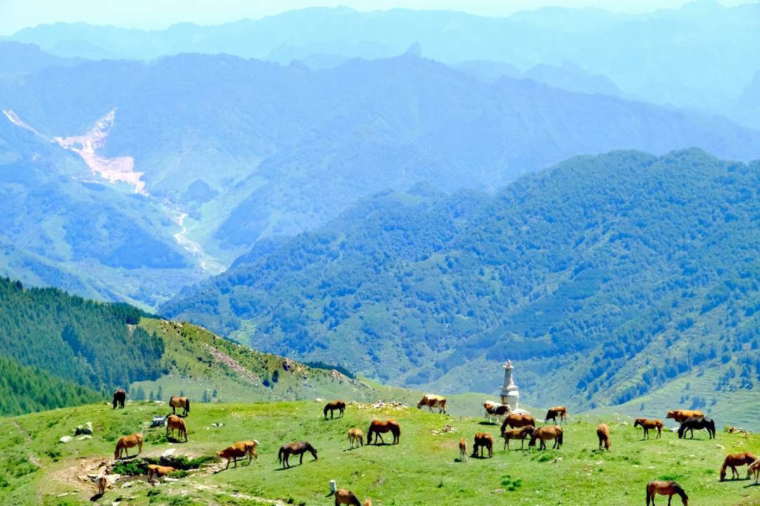 五台山大朝台