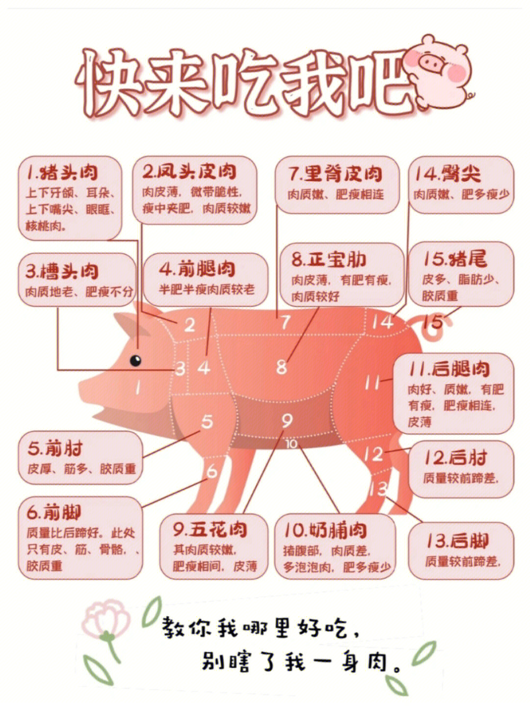 一张图教你如何吃猪肉