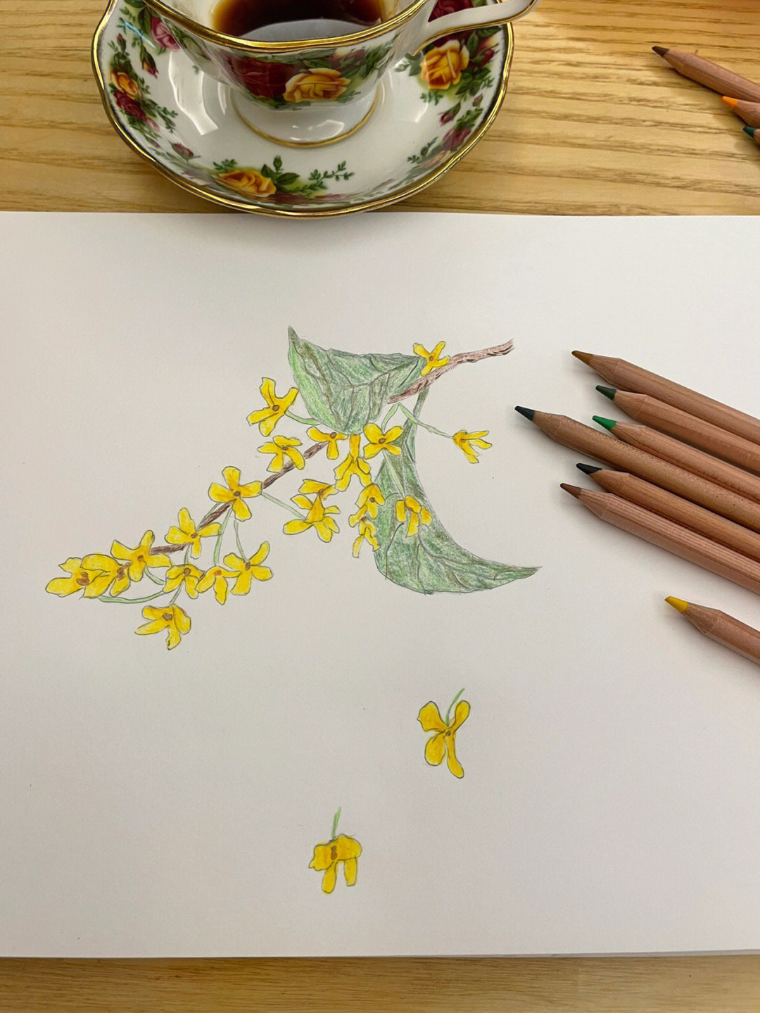 桂花树绘画图片幼儿图片