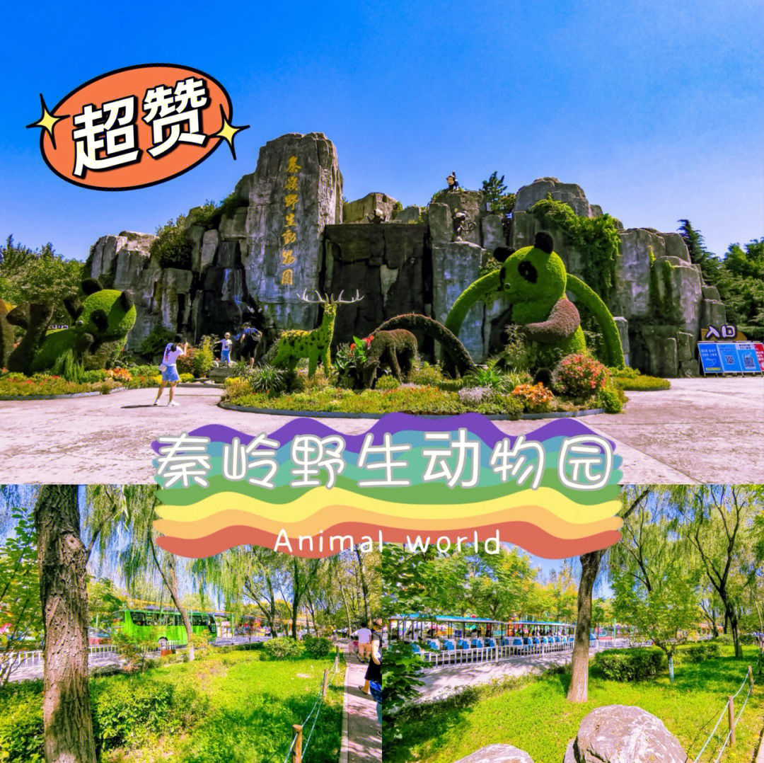 秦岭野生动物园网站图片