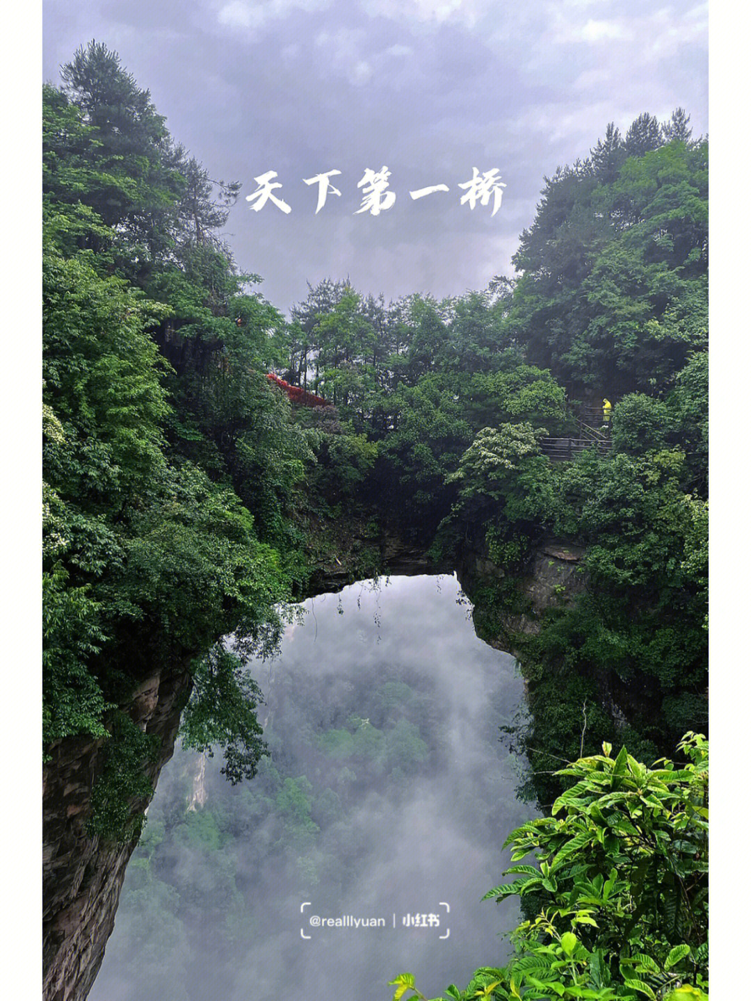 山水画烟雨张家界