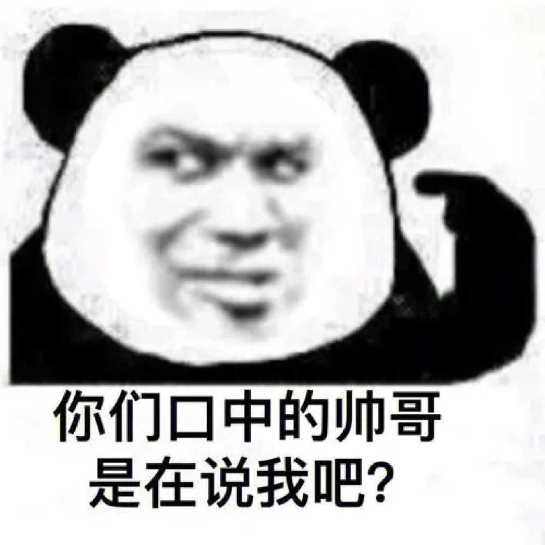 熊猫哥表情包图片