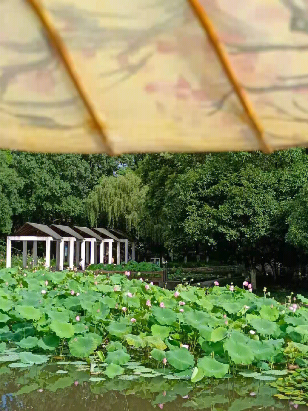 义乌鸡鸣山公园简介图片