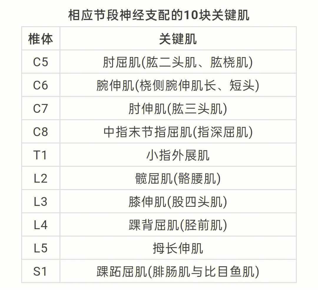 [烟花r]确定损伤平面时应注意(1)脊髓损伤神经平面主要以运动损伤