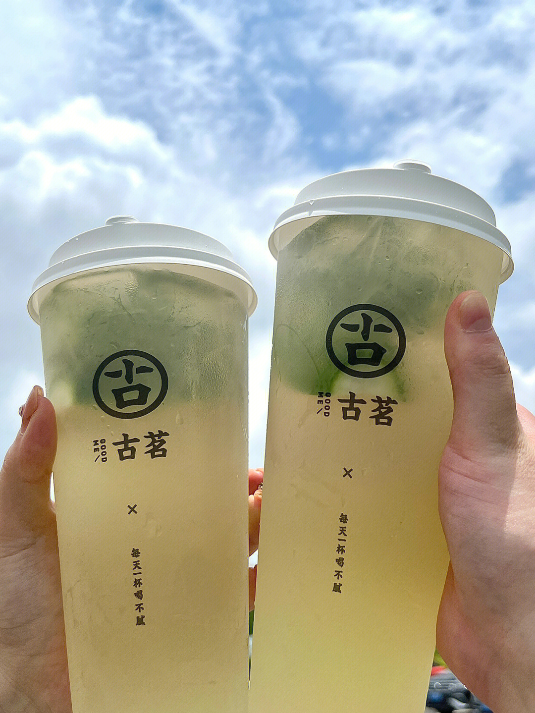 古茗招牌柠檬茶图片