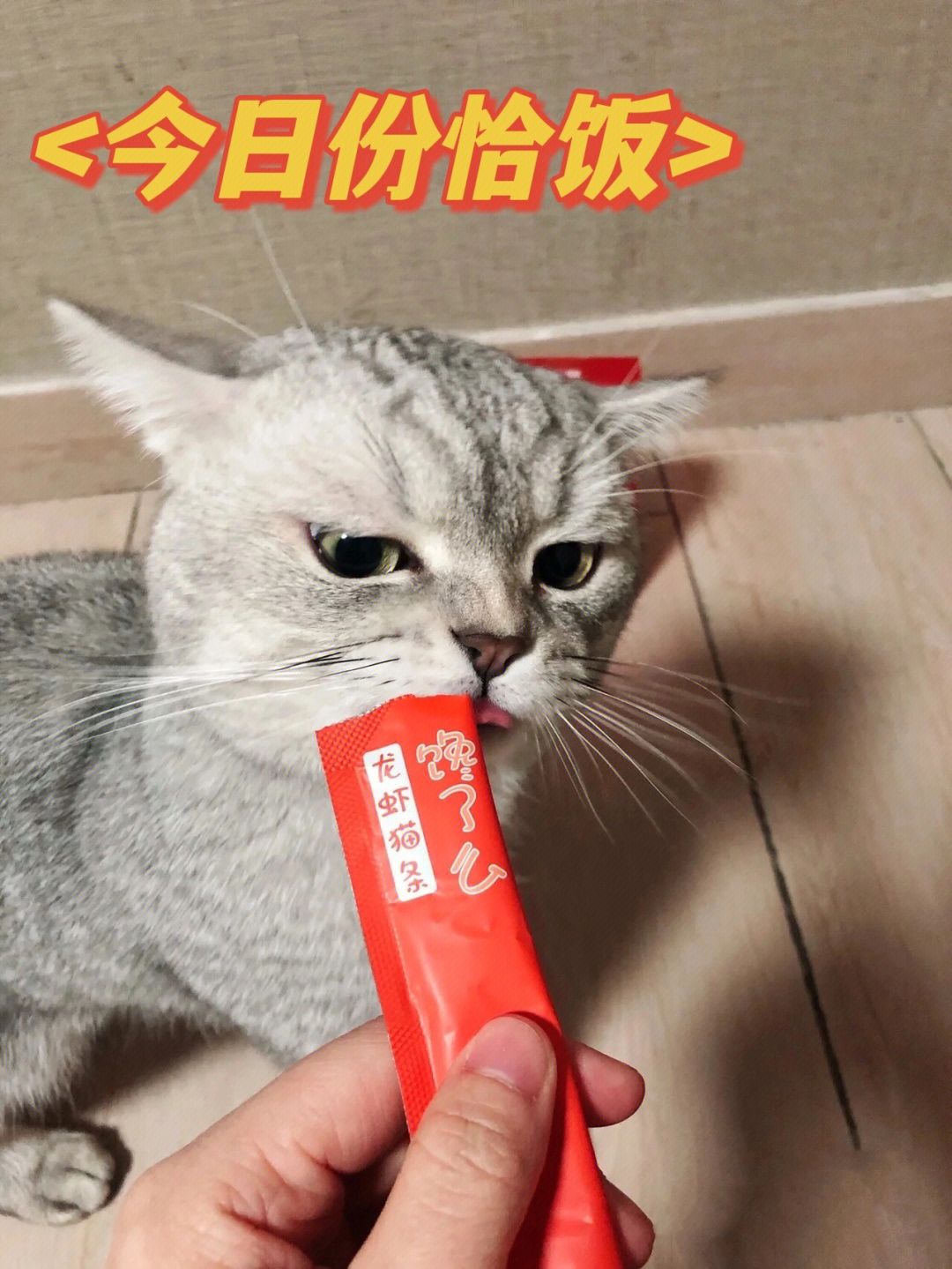 吸猫神器猫礼龙虾猫条你造嘛