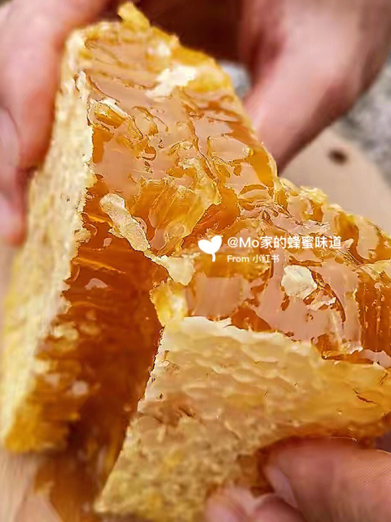 蜂蜜是蜜蜂拉出来的吗63