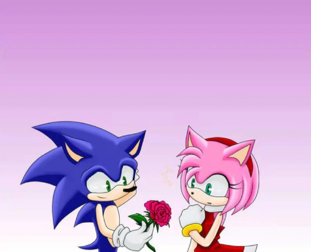 sonic and amy图片