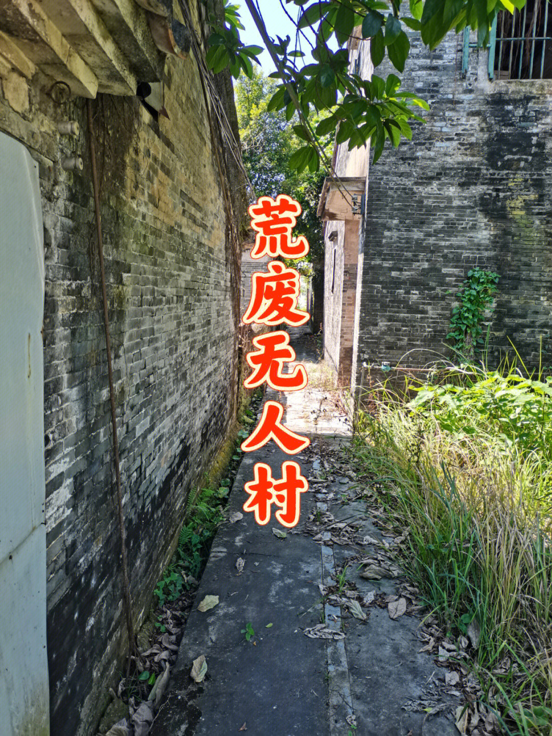 无人村 闹鬼图片