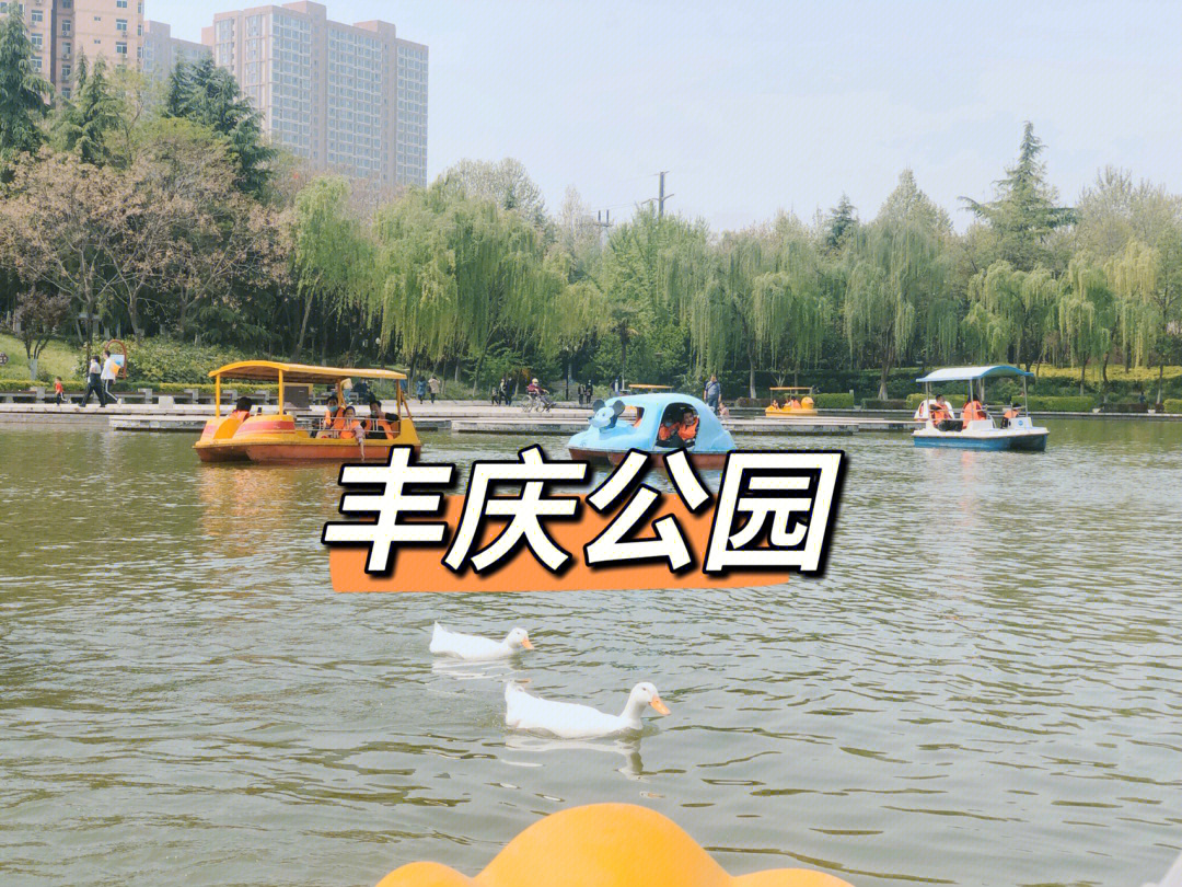 丰庆公园游乐场图片