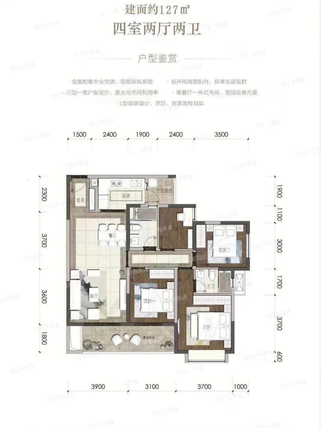 中海锦江一号图片