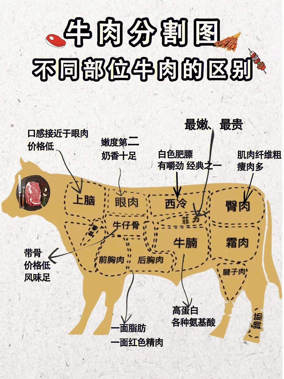 牛肉名称大全图解图片