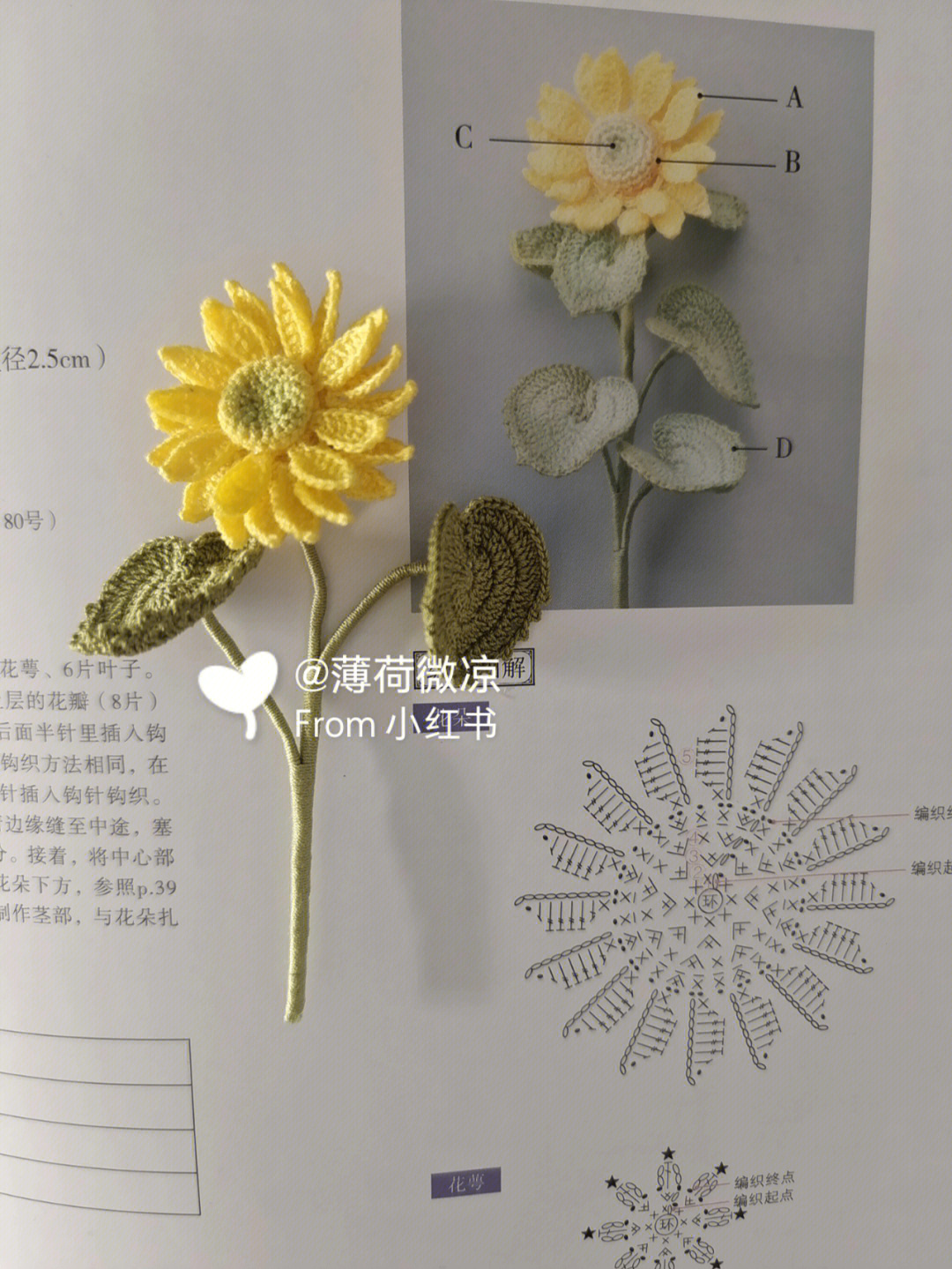 小太阳花的钩法图解图片