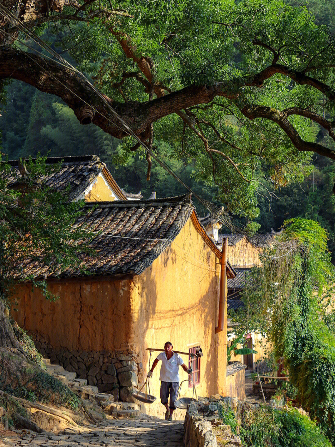 丽水松阳旅行全攻略吃住行玩收藏这篇