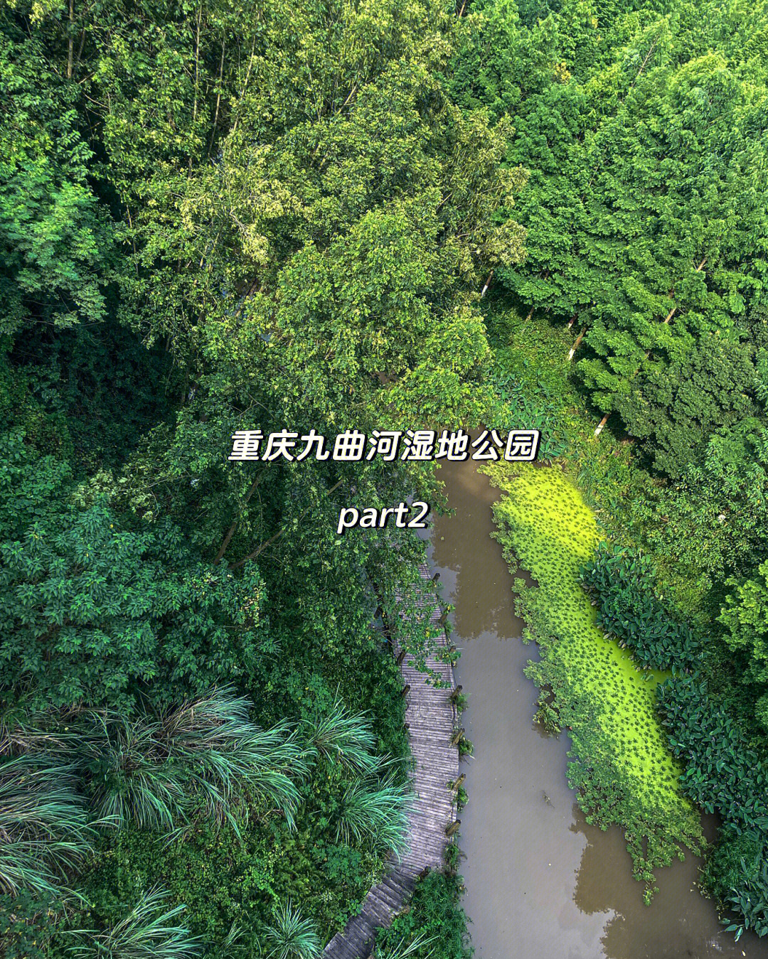hiking重庆九曲河湿地公园part2