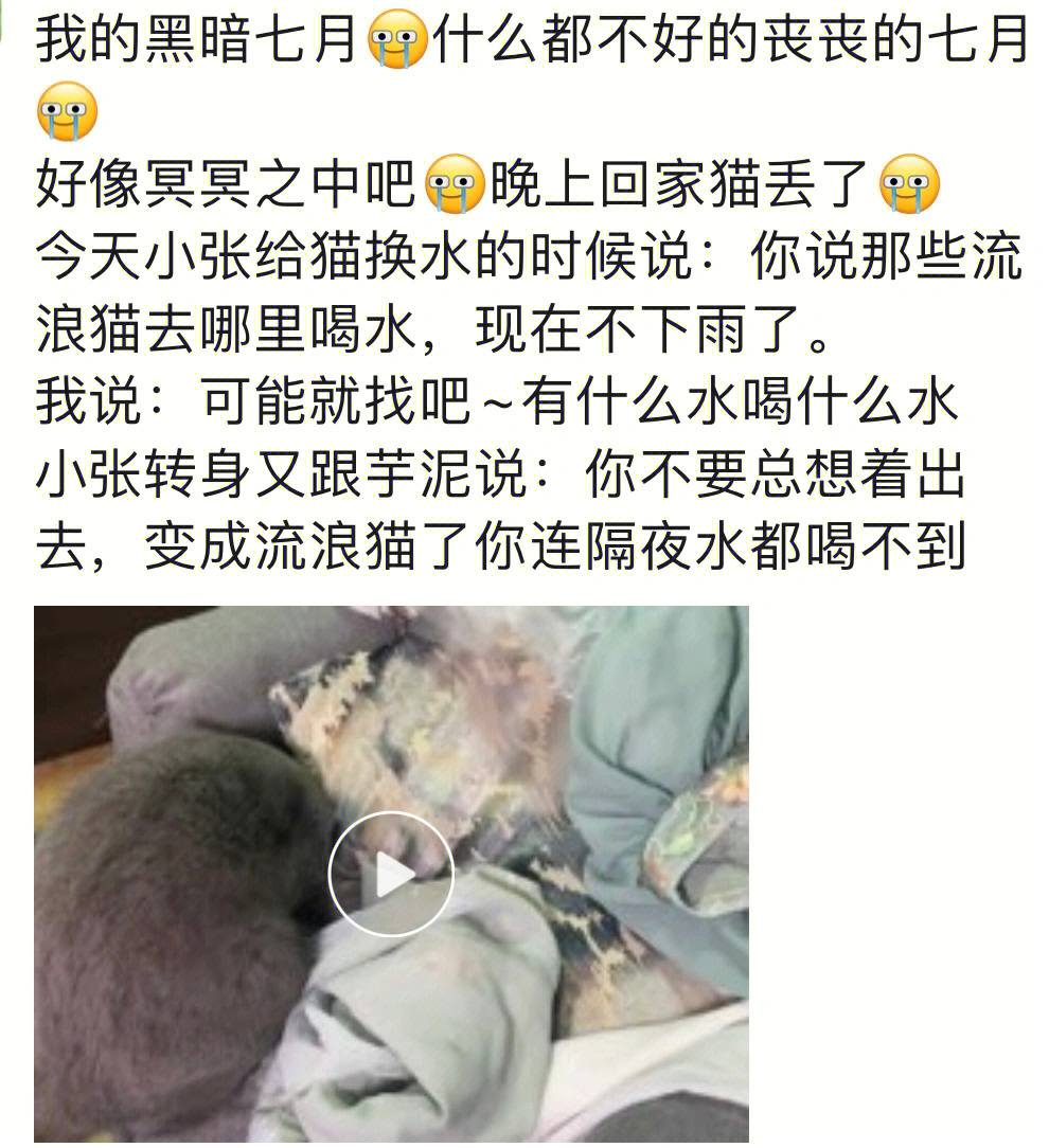 剪刀法找猫碗炸了图片