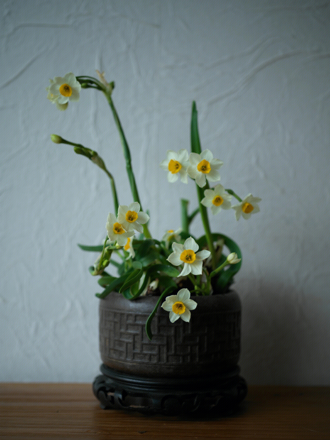 花関水仙