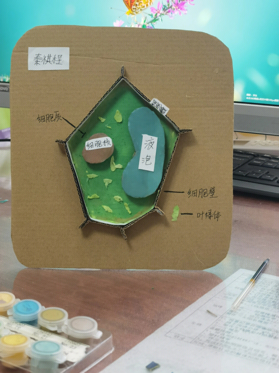 植物细胞模型