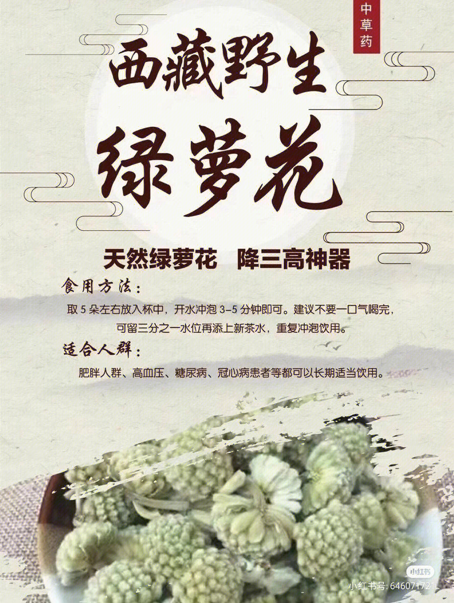 绿萝开花的秘密图片